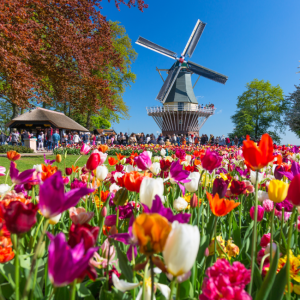 Keukenhof, busvervoer.